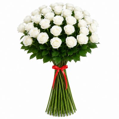 33 роз белая Голландия, 100 см, букет, доставка