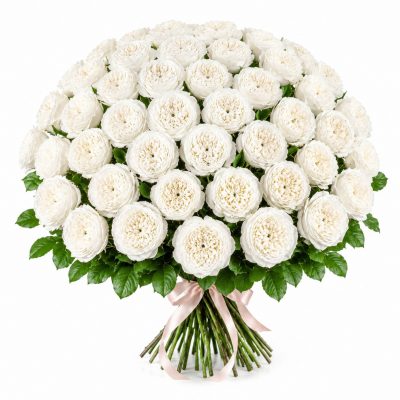 51 пионовидных белый роз, букет, доставка
