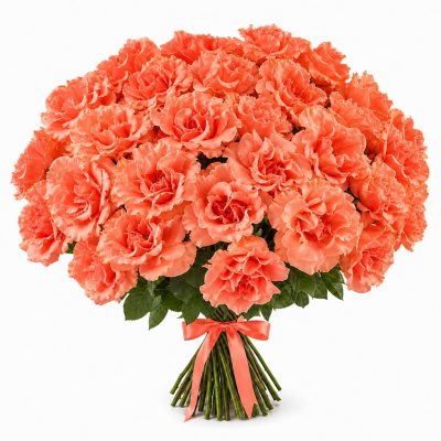 Французские розы коралловые, крупный бутон, поштучно